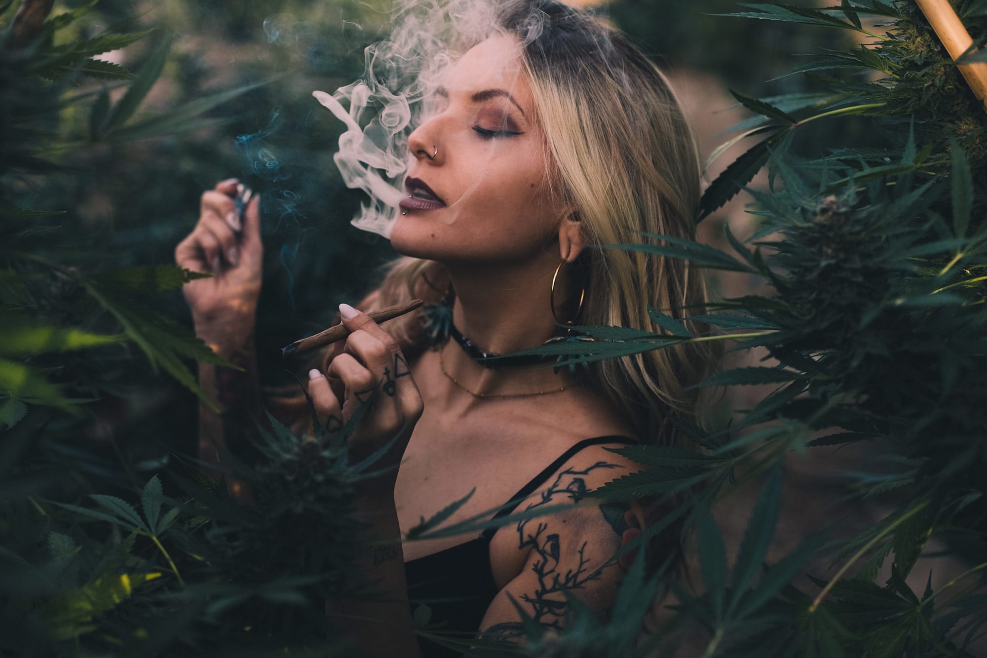 Девушка в листьях марихуаны световой режим марихуаны